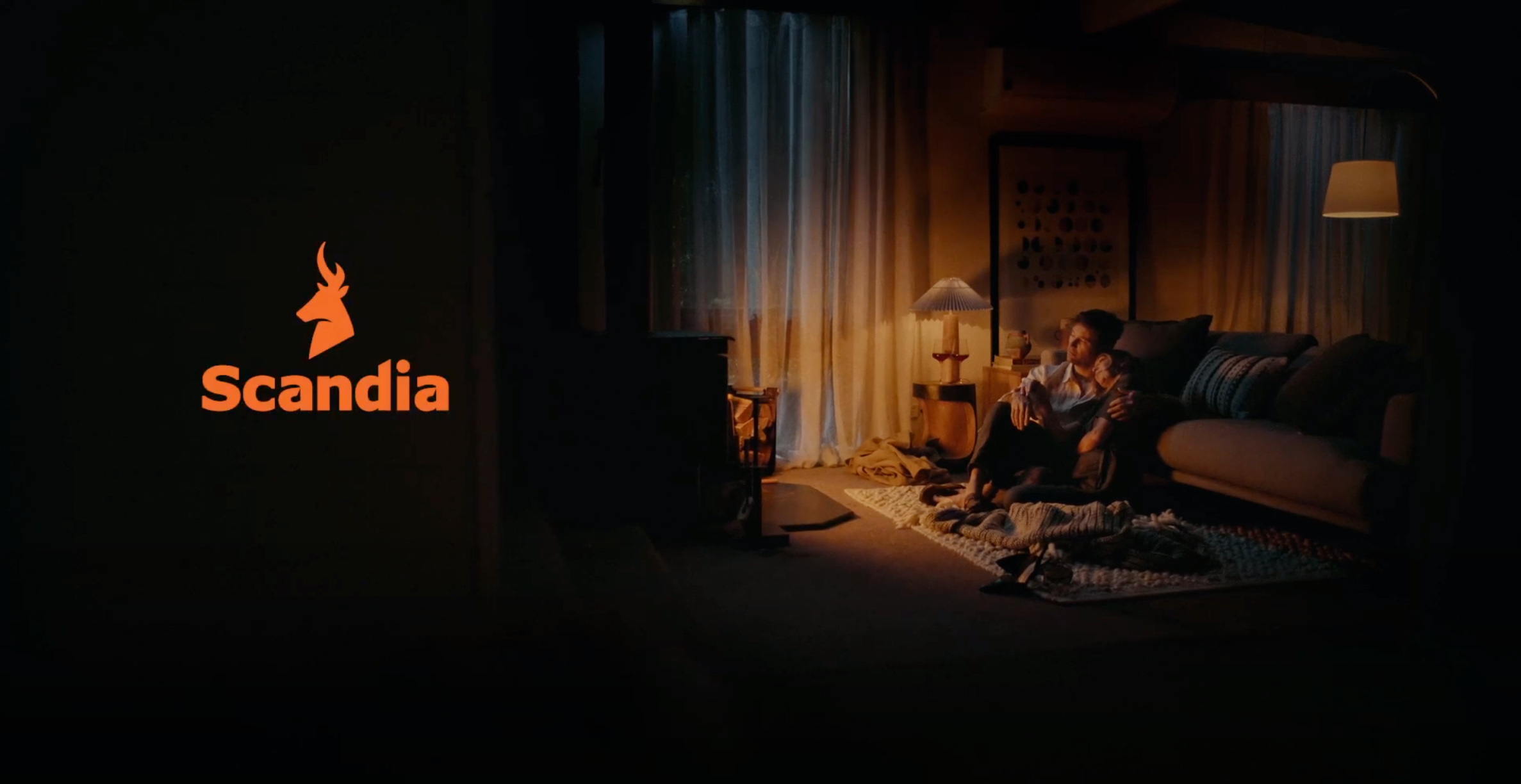 Product Recall | Scandia Wood Fire and Gas Heating